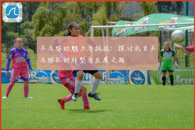 乒乓球的魅力与挑战：探讨北京乒乓球队的转型与发展之路
