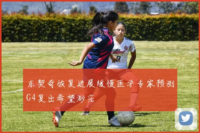 东契奇恢复进展缓慢医学专家预测G4复出希望渺茫